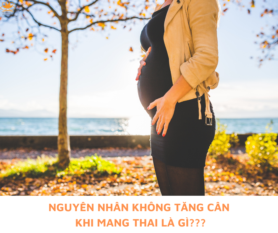 NGUYÊN NHÂN KHÔNG TĂNG CÂN KHI MANG THAI LÀ GÌ